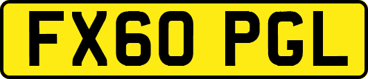 FX60PGL