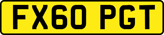 FX60PGT