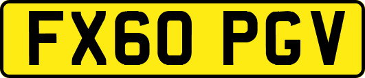 FX60PGV