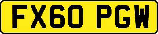 FX60PGW