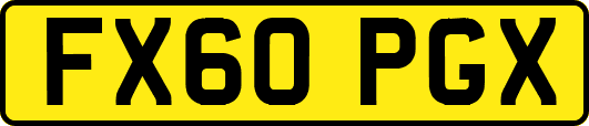 FX60PGX