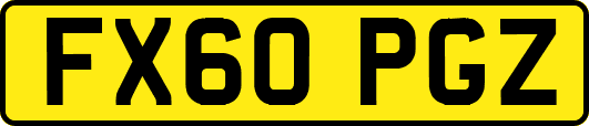 FX60PGZ