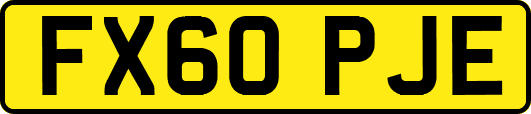FX60PJE
