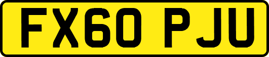 FX60PJU