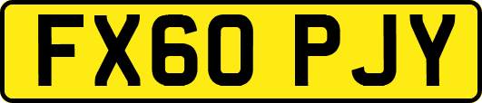 FX60PJY