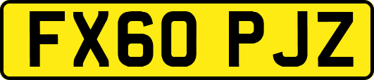 FX60PJZ