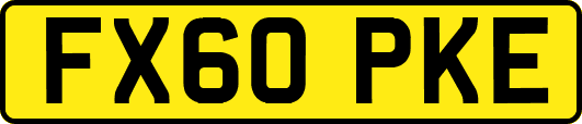 FX60PKE