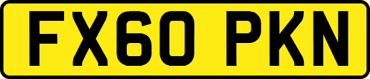 FX60PKN