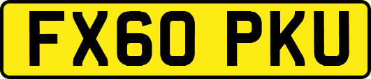 FX60PKU