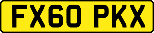 FX60PKX