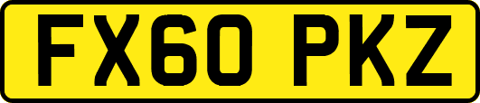 FX60PKZ