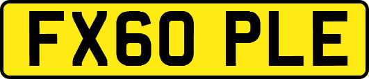 FX60PLE