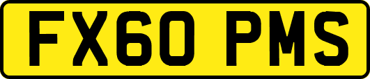 FX60PMS