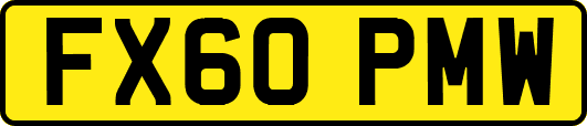 FX60PMW