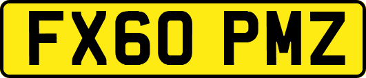 FX60PMZ