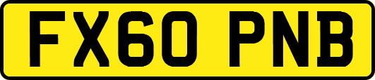 FX60PNB