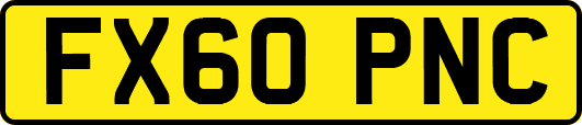 FX60PNC