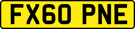 FX60PNE