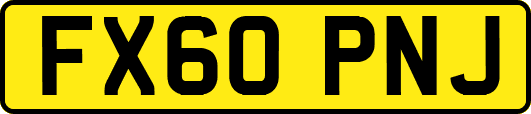 FX60PNJ