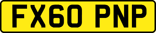 FX60PNP