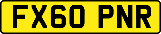 FX60PNR