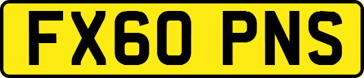 FX60PNS