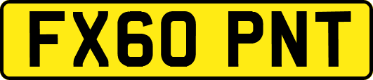 FX60PNT