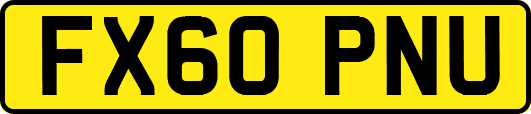 FX60PNU