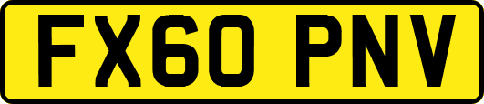 FX60PNV