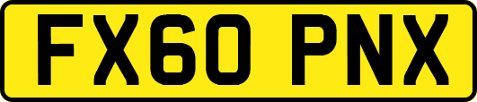 FX60PNX