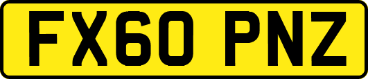 FX60PNZ