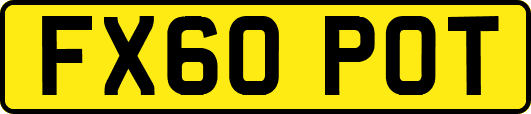FX60POT
