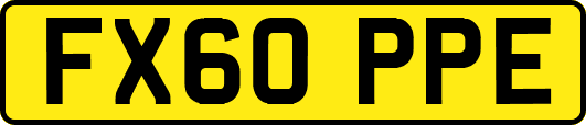 FX60PPE
