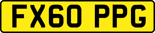 FX60PPG