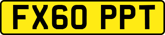 FX60PPT