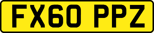 FX60PPZ