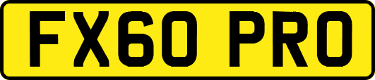 FX60PRO