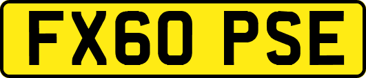 FX60PSE