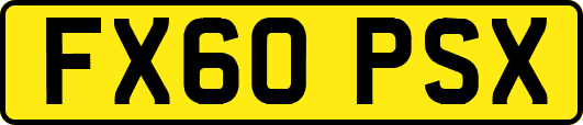 FX60PSX