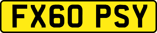 FX60PSY