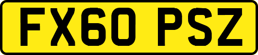 FX60PSZ