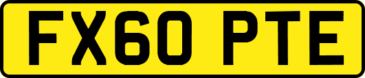 FX60PTE