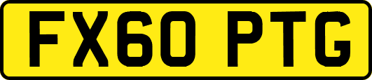 FX60PTG