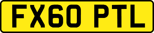 FX60PTL