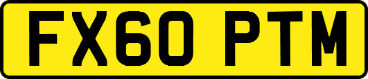 FX60PTM
