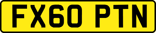 FX60PTN