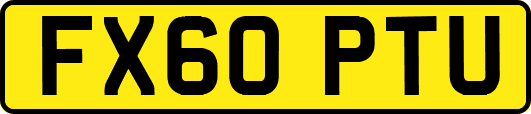 FX60PTU