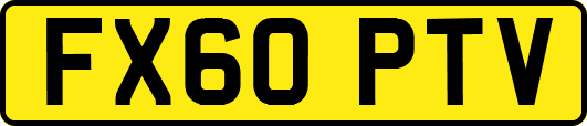 FX60PTV