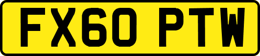 FX60PTW