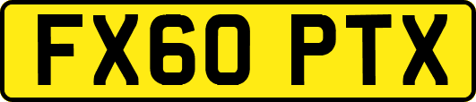 FX60PTX